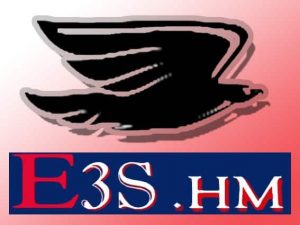 École Supérieure des Sciences Sociales, Humaines et de Management (E3S.HM)