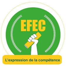 Institut des Sciences pour l'Entreprise et la Gestion/ Ecole de Formation et d'Etudes Commerciales (ISEG/EFEC)