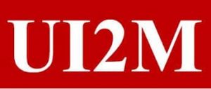 Universal Institute Mining Management (UI2M)