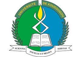 Université Norbert-Zongo (UNZ)